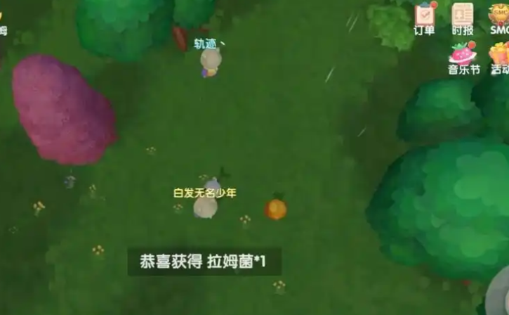 摩尔庄园拉姆菇怎么获得