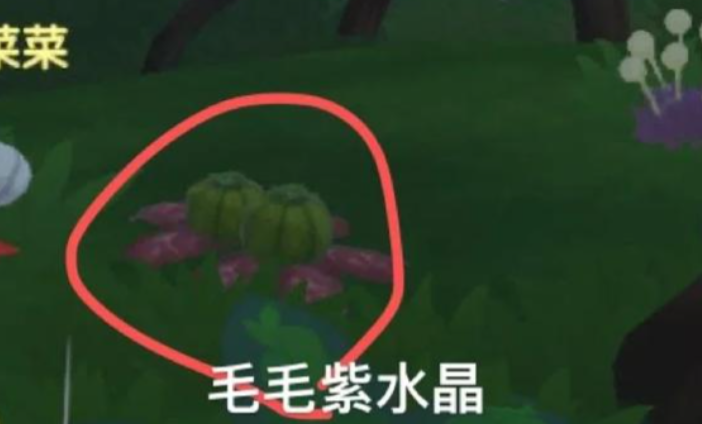 摩尔庄园黑森林怎么安抚毛毛虫