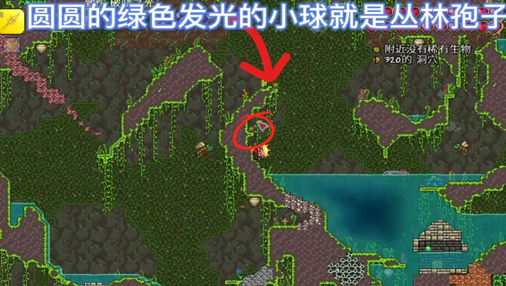 泰拉瑞亚丛林植被怎么弄