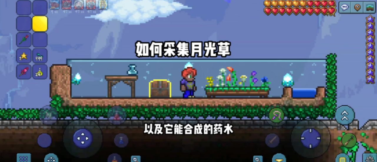 泰拉瑞亚丛林植被怎么弄