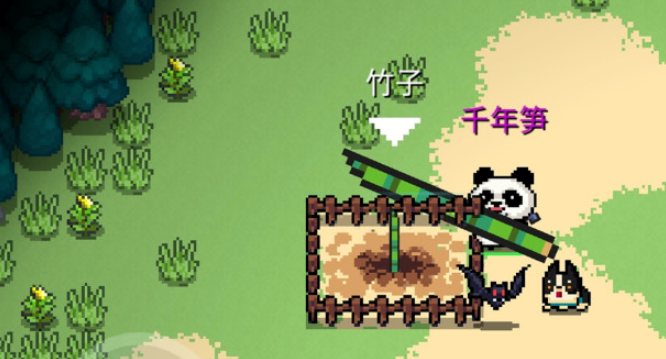 元气骑士千年竹笋有什么用