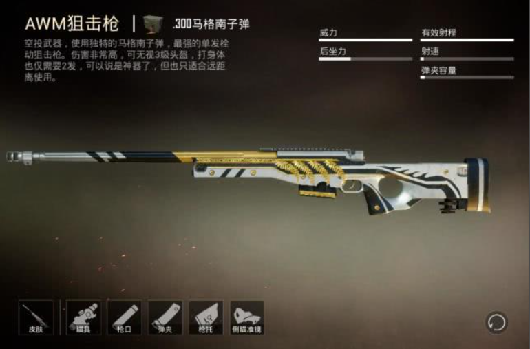 绝地求生awm是用什么子弹
