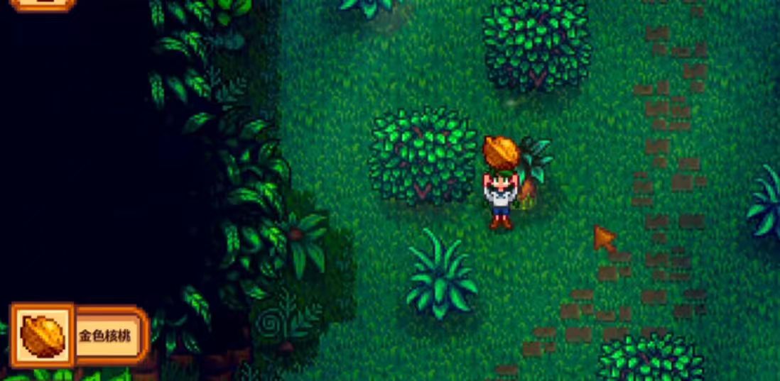 星露谷物语姜岛怎么过