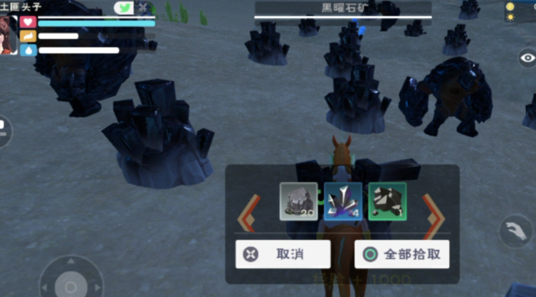 创造与魔法黑水晶矿在哪