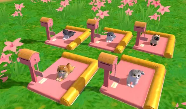 创造与魔法小猫咪怎么抓 创造与魔法小猫咪怎么抓