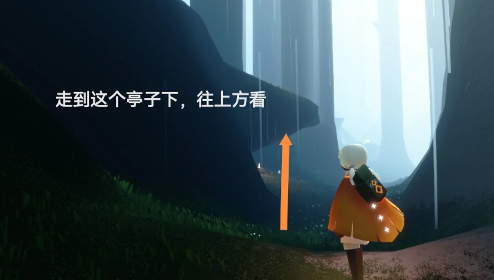 光遇里面如何去雨林