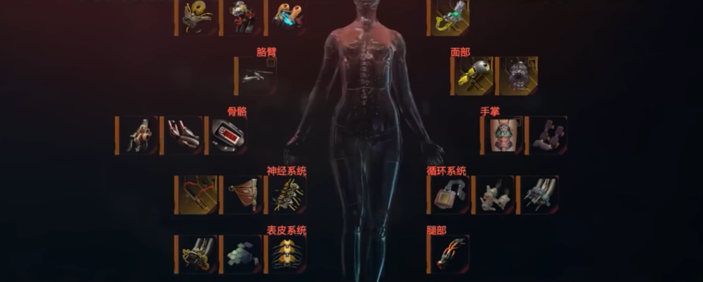 赛博朋克2077开局加点怎么加