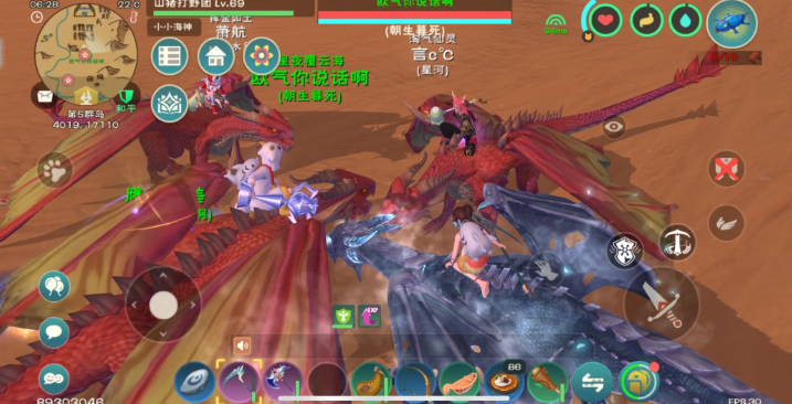 创造与魔法飞龙有哪些