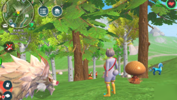 创造与魔法哪的松露多