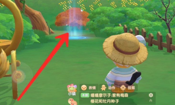 摩尔庄园灌木林怎么去