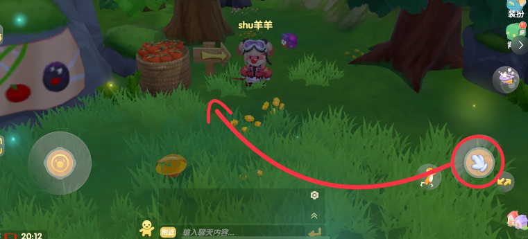 摩尔庄园怎么抓动物