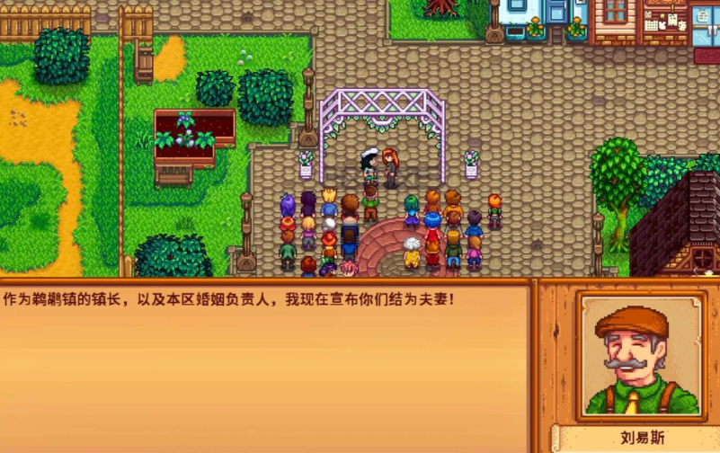 星露谷物语结婚对象怎么选