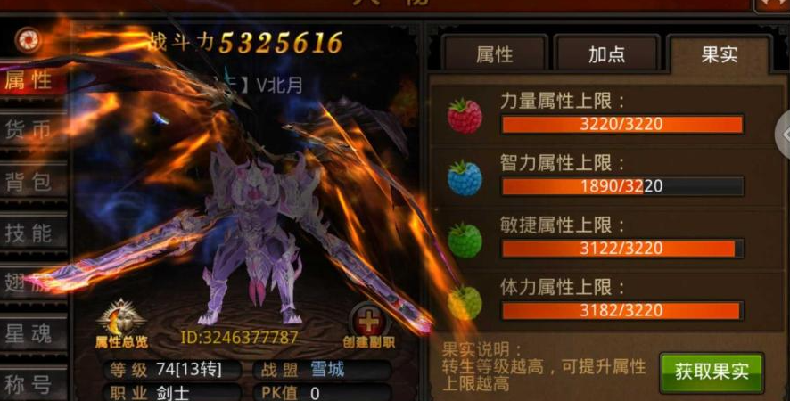 全民奇迹魔剑士穿什么防御