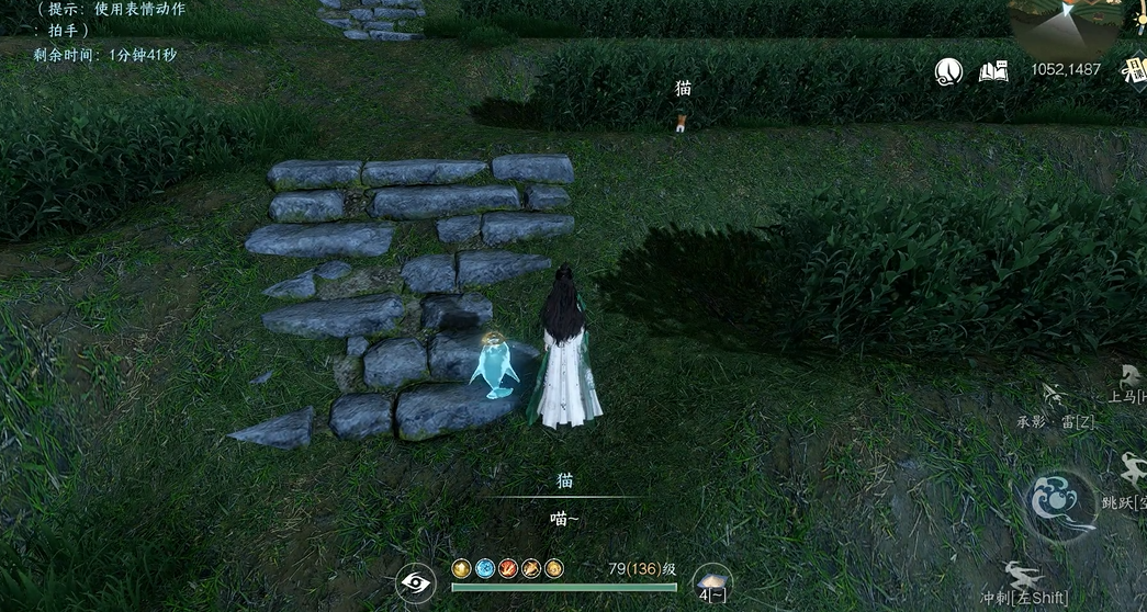 逆水寒手游喵影迷踪奇遇怎么玩 逆水寒手游喵影迷踪奇遇怎么玩