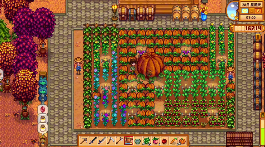 星露谷物语第一年秋天种什么