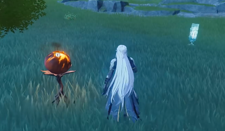 鸣潮里面有宝箱吗