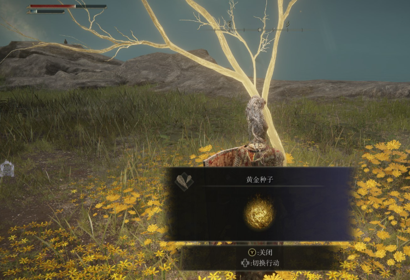 艾尔登法环新手村怎么出去 艾尔登法环新手村怎么出去