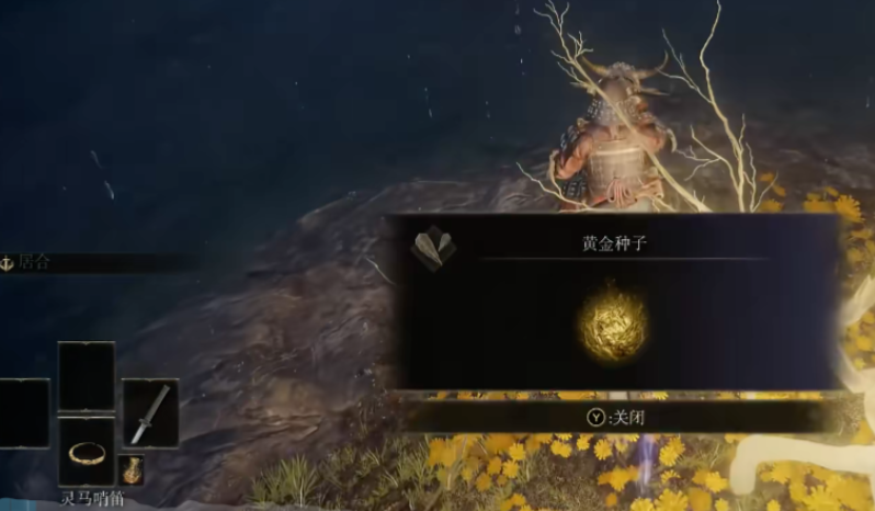 艾尔登法环罗德里卡支线任务怎么玩